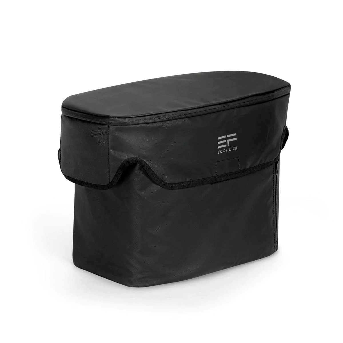 5987531220_sumka-ecoflow-delta Сумка EcoFlow DELTA mini Bag - Зображення 1